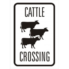 Cattle Crossing